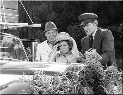 David Wayne, Hermione Baddeley and Larry Hagman in The Good Life