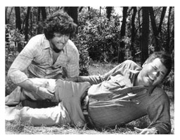 Patrick Duffy, Larry Hagman, Dallas